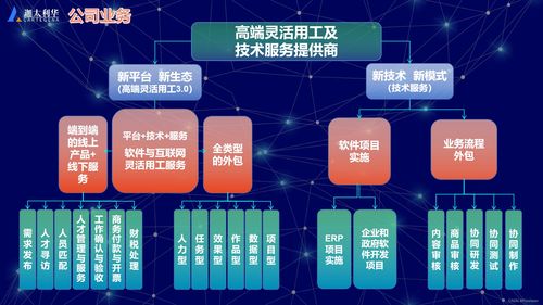 軟件及互聯(lián)網(wǎng)高端靈活用工與技術(shù)服務(wù)提供商