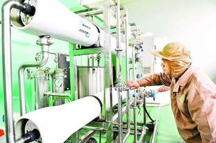 科技驅動循環經濟 香港金綠源生物科技的創新之路